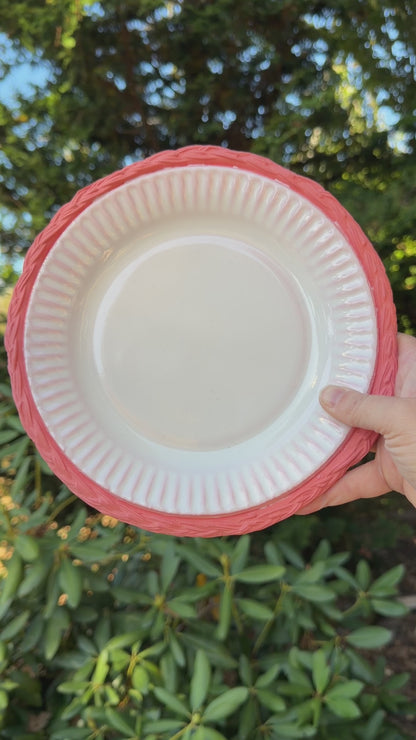 Wicker Paper Plate